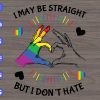 WTM 25 I may be straight but I don't hate svg, dxf,eps,png, Digital Download