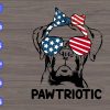 WTM 01 238 scaled Pawtriotic svg,dog svg, dxf,eps,png, Digital Download