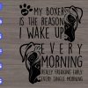 WTM 129 My Boxer Is The Reason I Wake Up Every Morning Really Freaking Early Every Single Morning svg, dxf,eps,png, Digital Download