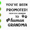 s5783 01 You're been promoted From dog grandma to human grandma svg