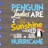 s6039 scaled Penguin Ladies Are Sunshine Mixed With A Little Hurricane svg, dxf,eps,png, Digital Download