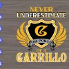 s6955 scaled Never Underestimate The Power Of A Garrillo svg, dxf,eps,png, Digital Download