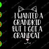 s8209 01 I wanted a grandkid but I got a grandcat svg, dxf,eps,png, Digital Download