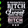 WATERMARK 01 48 If payback's a bitch and revence is sweet then I'm the sweetest bitch you'll ever meet svg, dxf,eps,png, Digital Download