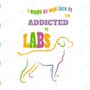 ss387 01 I might as well face it! Addicted to labs svg, dxf,eps,png, Digital Download