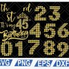 041038d8d1fc24a27ded Birthday SVG DXF PNG - It's My Birthday - Digital Download