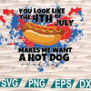 wtm web 01 185 You Look Like The 4th of July Makes Me Want A Hot Dog Real Bad, Sublimation, Instant Download, Cute, Funny, Legally Blonde, cricut file, clipart, svg, png, eps, dxf