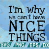 wtm web 01 22 We Can't Have Nice Things SVG - Kids Shirt SVG - Funny Kids Shirt - Funny Kids SVG - Boys Shirt - Toddler Shirt - Kids Svg - Funny svg -png