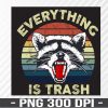 WTM 01 132 Vintage Everything Is Trash PNG, Retro Funny Raccoon,Humorous PNG, Digital Download