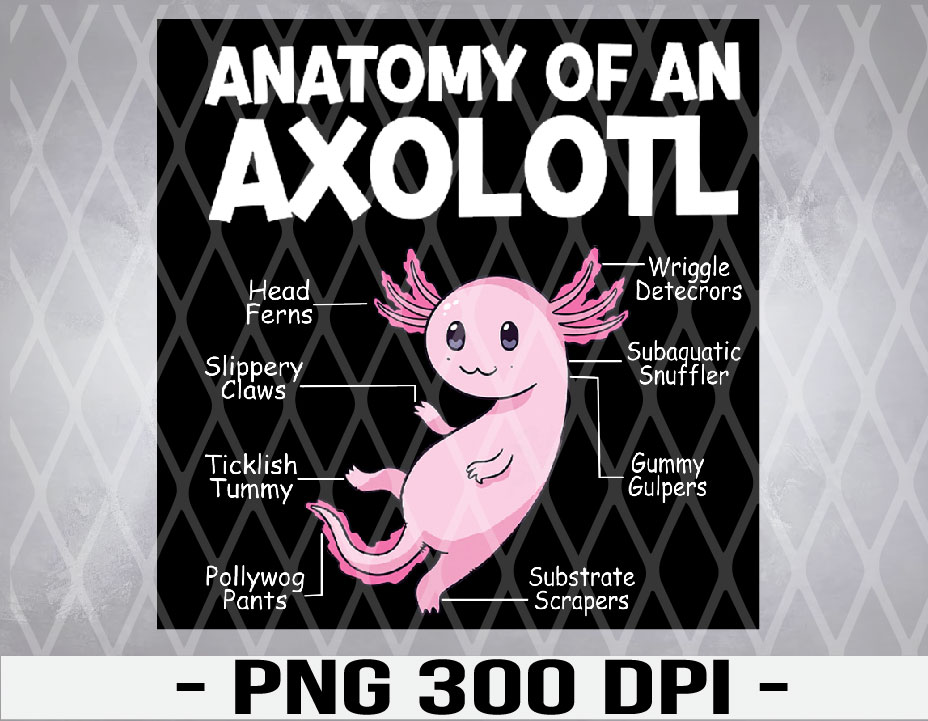 Anatomy Of An Axolotl Funny Axolotl Owner Svg, Eps, Png, Dxf, Digital ...