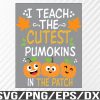 WTM 01 88 I Teach The Cutest Pumpkins In The Patch Svg, Eps, Png, Dxf, Digital Download