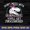 wtm 02 28 Funny Grandma Svgs Dont Mess With Grandmasaurus Youll Get Jurasskicked Dinosaur Grandmother TSvg Grandma Humor Svg Gifts Granny Tee