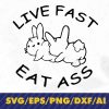 wtm 02 53 Funny RabbiSvg, Sarcastic Svgs, Humorous Svg, Funny Sarcasm TSvg, Adult Humor Svg, Dirty Jokes Svg, Live Fast Eat Ass Tee