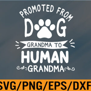 WTM 01 211 Promoted from Dog Grandma to Human Grandma svg, Grandma svg, Pregnancy Announcement svg, Baby Announcement Svg, Eps, Png, Dxf, Digital Download