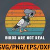 Birds Are Not Real Retro Funny Conspiracy Birds Are Not Real  Svg, Eps, Png, Dxf, Digital Download