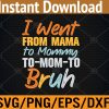 WTM 01 104 I Went From Mama to Mommy to Mom to Bruh Funny Mothers Day Svg, Eps, Png, Dxf, Digital Download