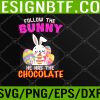 WTM 05 118 Follow The Bunny He Has Chocolate Happy Easter Day Svg, Eps, Png, Dxf, Digital Download
