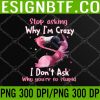 WTM 05 93 Funny Flamingo Stop Asking Why I'm Crazy PNG, Digital Download