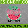 WTM 05 291 One In A Melon Granny Summer Fruit Family Watermelon Svg, Eps, Png, Dxf, Digital Download
