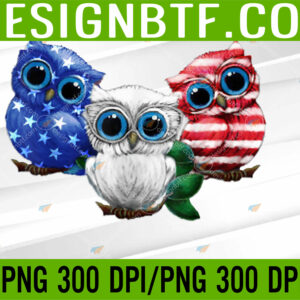 WTM 05 29 Owl American Flag 4th Of July Owl Lovers PNG, Digital Download