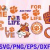 ChangBTF 02 1 Clemson Tigers svg, bundle, ncaa team, ncaa logo bundle College Football svg, ncaa logo svg