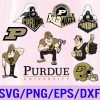 Penn State ncaa svg, ncaa team, ncaa logo bundle, College Football, College basketball, ncaa logo
