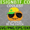 WTM 05 128 Coolest Pumpkin In The Patch Halloween Boys Girls Svg, Eps, Png, Dxf, Digital Download