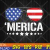 WTMWEBMOI123 04 348 Funny American Flag Patriotic Fourth Svg, Eps, Png, Dxf, Digital Download