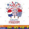 WTMWEBMOI123 04 361 Tastes like Freedom svg, Stars and Stripes svg, July 4th svg, Popsicle svg, Patriotic svg, Fireworks Svg, Eps, Png, Dxf, Digital Download