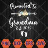WTMWEBMOI066 04 89 Promoted To Grandma 2024 First Time New Grandma Pregnancy Svg, Eps, Png, Dxf, Digital Download