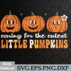 WTMWEBMOI066 09 220 Caring For The Cutest Little Pumpkins NICU Nurse Halloween Svg, Eps, Png, Dxf, Digital Download