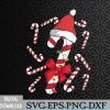 WTMNEW2024 09 181 Red and White Candy Cane Santa Christmas Funny Xmas Lights Svg, Eps, Png, Dxf, Digital Download