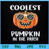 WTM BEESTORE 04 67 Coolest Pumpkin In The Patch Funny Halloween Svg, Eps, Png, Dxf, Digital Download