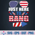 Funny 4th Of July Usa Sunglasses Fireworks Bang Patriotic Svg, Png, Digital Download