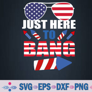 Funny 4th Of July Usa Sunglasses Fireworks Bang Patriotic Svg, Png, Digital Download