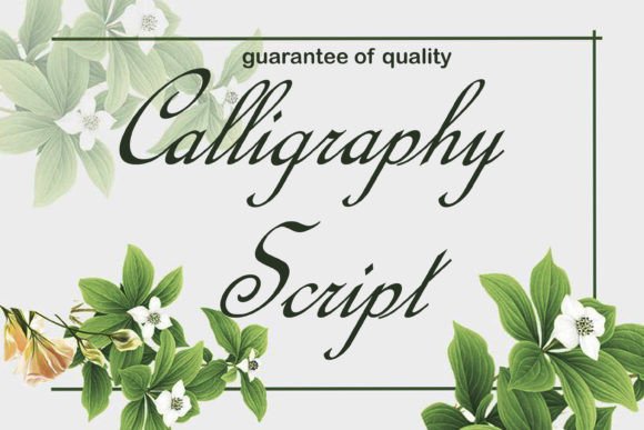 Calligraphy Script Fonts